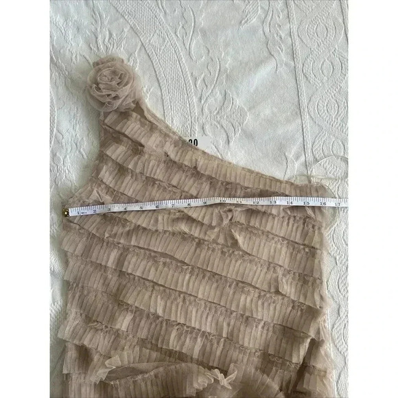 NWT Kimchi Blue Urban Outfitters Rita Ruffle Rose Dress Sheer Beige Tule Size M - Picture 7 of 16